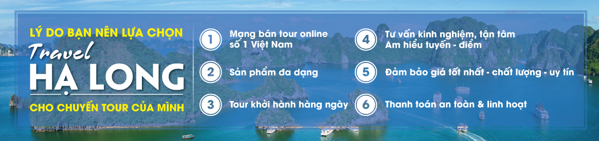 Lý do chọn TravelHalong